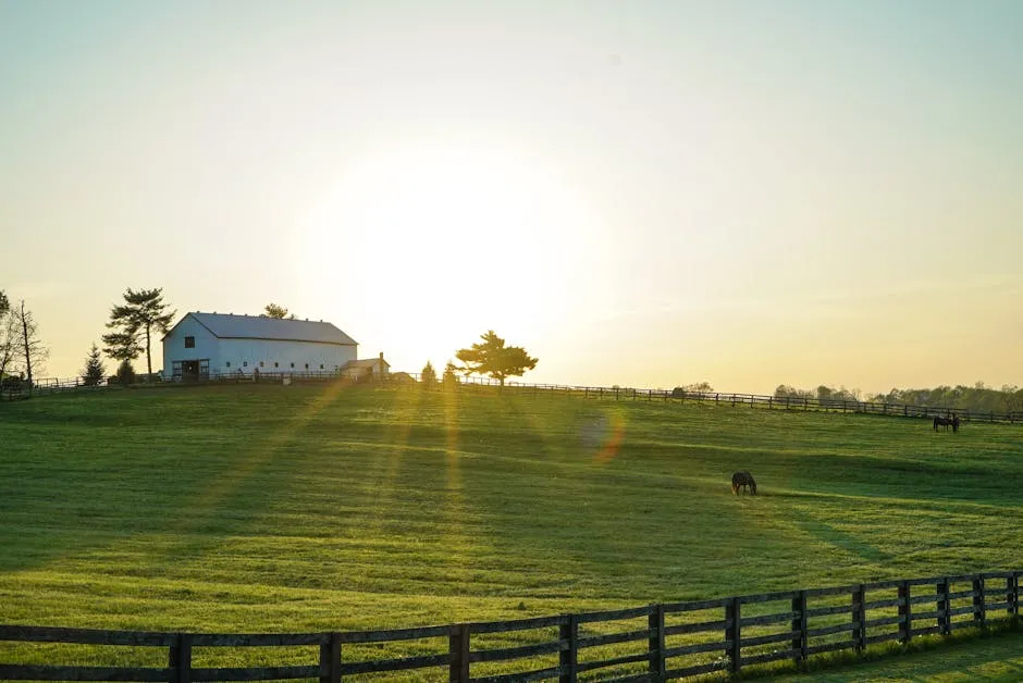 Kentucky — Kentucky horse farm
