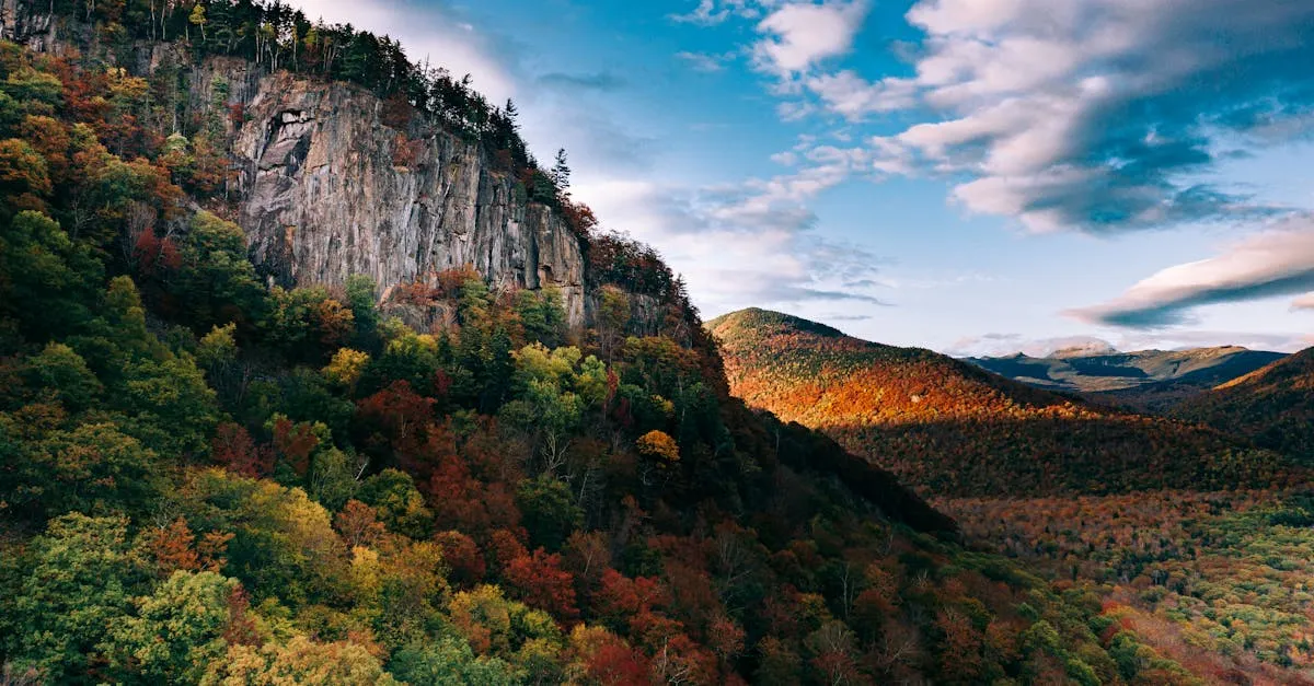 How to Become a Notary in New Hampshire: Step-by-Step Guide (2026)